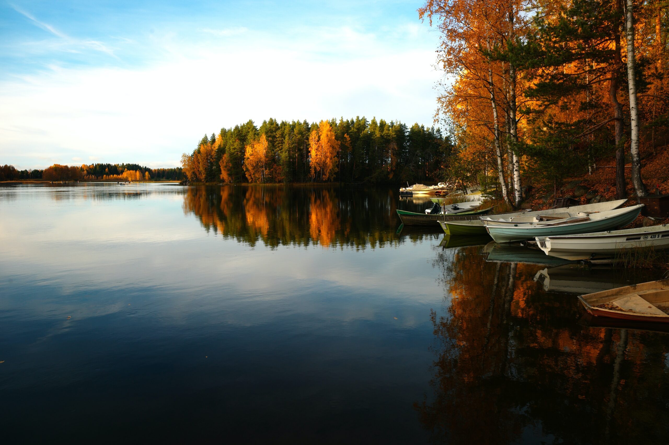 SVS: Autumn Around the Chesapeake Bay